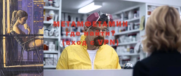 индика Козельск