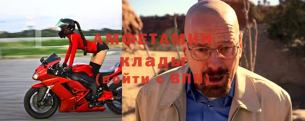 индика Козельск