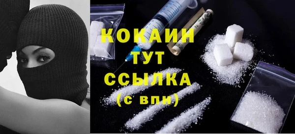 индика Козельск