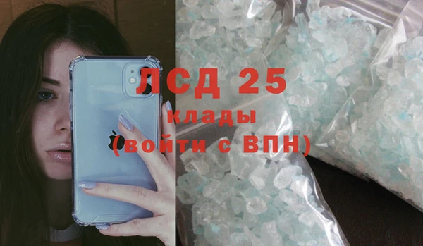 индика Козельск