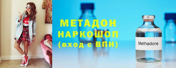индика Козельск