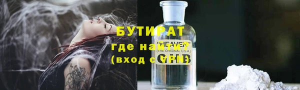 индика Козельск