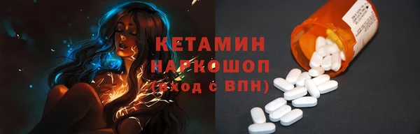 индика Козельск