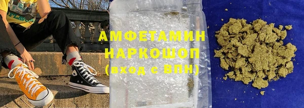 индика Козельск