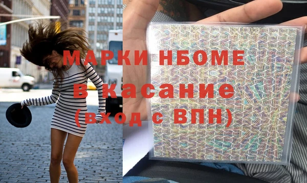 индика Козельск