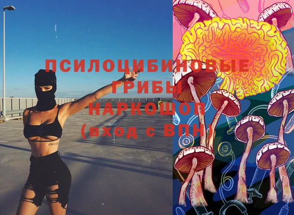 первитин Козловка