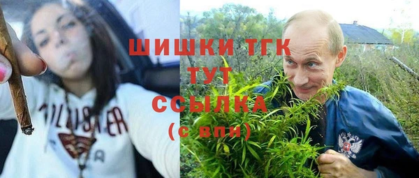 индика Козельск