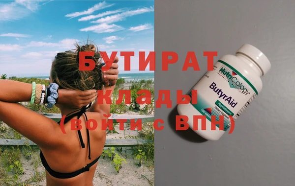 индика Козельск