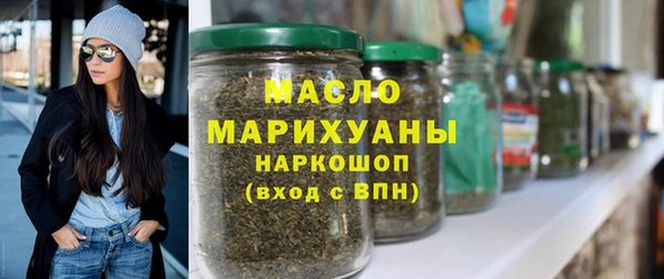 индика Козельск