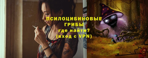 индика Козельск