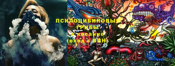 индика Козельск